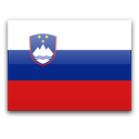 image drapeau Slovénie - Ljubljana